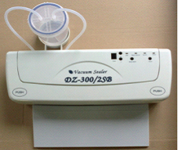 家用小型真空机DZ-300/2SB